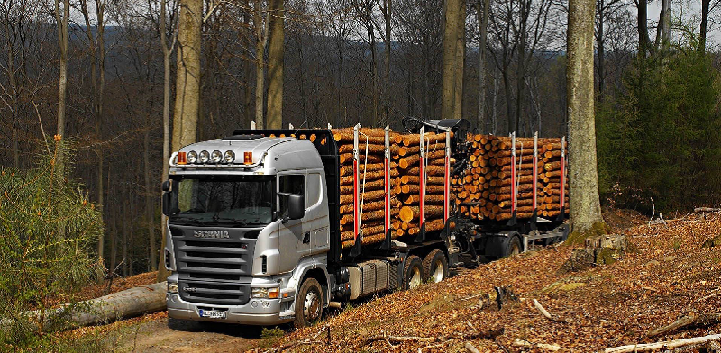 Перевозка леса с экономией